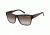 Carrera 42 Rx Bifocal Sunglasses - Horn Brown Black Frame CA42S07J4ZU