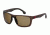 Carrera 8027/S Progressive Prescription Sunglasses CA8027S-009Q-SP-5719 - Frame Color Brown, Lens Diameter 57 mm