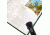 Carson Lighted Rectangle RimFree 2x Magnifier w/ Bright White LEDs RM-77