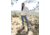 Carve Designs Brie Sherpa Hoodie - Womens, Birch, Extra Small, FLHS80-280-XS