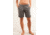 Carve Designs Emery Bermuda Short - Women's-Graphite-2