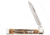Case 6.5 BoneStag Doctor's Knife Folding Blade, 6.5185 SS, 03570