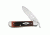Case 61953 1/2L-2 SS Crimson Bone Folding Knife Drop Point Russlock,4.25in closed 51416