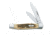Case 62032 CV Amber Bone CV Small Texas Jack, Clip and Pen Blades 00077