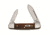 Case 62132 SS Smooth Chestnut Bone Baby Butterbean Folding Knife,2.75in closed 28708