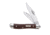 Case 6220 SS Brown Synthetic Peanut  Clip and Pen Blades Folding Knife, Brown Synthetic Jigged, 2 7/8 00046