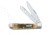 Case 6254 CV Amber Bone Trapper, Clip and Spey Blades 00163