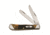 Case 6254 SS Autumn Bone Trapper Folding Knife,4.125in closed 51378