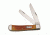 Case 6254 SS Persimmon Orange Bone Trapper Folding Knife,4.125in closed 16061