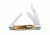 Case 6318 SS Amber Medium Stockman  Clip, Sheepfoot and Spey BladesFolding Knife, Amber Bone SS Handle, 3 5/8 00042
