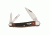 Case 6335WH Crimson Bone Seahorse Whittler Folding Knife,4in closed 51415