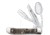 Case BSA - Embellished Smooth Natural Bone Hobo Folding Knife, 18045
