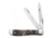 Case BSA - Embellished Smooth Natural Bone Mini Trapper Folding Knife, 18043