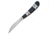 Case EX17-3 154-CM Exotic Peacock Coral Handle Desk Knife,Velvet Gift Box,6.125in overall 11084