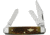 Case Medium Stockman Folding Knife,Clip,Sheepsfoot and Spey Blade,Dark Amber Honeycomb Jigged Bone Handle CA89083