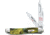Case Peanut 125th Anniversary Folding Knife,Stainless Steel,Clip and Pen,Mossy Willow Green,Corelon Handle CA9220125MM