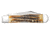 Case Cheetah Folding Knife, 4.38 in, Tru-Sharp Surgical Steel, Case 6.5 BoneStag Handle, 65319