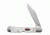 Case Sparxx Small Clip Blade, White, 3 5/8 in. 60185