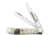 Case Sportsman Series - Embellished Smooth Natural Bone Trapper Blade, 6254 SS - Bear, 50439