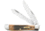 Case Trapper Black Cherry Bone Folding Knife,Stainless Steel,Standard Edge,Clip and Spey,Mirror Polish,Black Cherry,Jigged Bone Handle CA57610