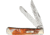 Case Trapper Oktoberfest Folding Knife,Stainless Steel,Clip and Spey,Oktoberfest,Corelon Handle CAS9254OF
