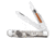 Case Trapper Sportsman Folding Clip Point/Spey Plain Mirror Polished Tru-Sharp SS Blade/Turkey Embellished Natural Bone Handle, 81221