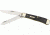 Case Trapper Stainless Knife CA18221