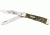 Case Trapper Stainless Knife CA9254AB