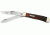 Case Trapper Stainless Knife CA9254BKL