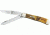 Case Trapper Stainless Knife CA9254BR