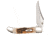 Case Tru-Sharp Blade / Amber Bone Handle Kickstart Assisted Opening Mid-Folding Hunter, 4 in closed, 3015