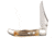 Case Tru-Sharp Blade / Bonestag Handle Kickstart Assisted Opening Mid-Folding Hunter, 4 in closed, 65314