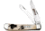 Case Turkey Trapper CA10445