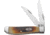 Case Wharncliffe Mini Trapper CA31735
