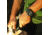 Casio PRO TREK Climber Line Triple-Sensor Atomic-Solar Watch - Mens, Gray, PRW6900BF-1