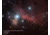 Celestron Advanced VX 800 RASA - Rowe-Ackermann Schmidt Astrograph - Telescope, 8in, f/2.0, 843x, 9.3in Tube 12032