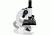 Celestron Laboratory Biological Microscope Compound 40x/100x/400x - 44102