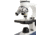 Celestron Labs CM1000C Compound Microscope,10x,25x Eyepieces and 4x,10x,40 Objective Lenses 44129