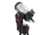 Celestron NexStar Evolution 8 Schmidt-Cassegrain Telescope w/ WIFI,Black 12091