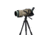 Celestron Regal M2 100ED Spotting Scope 52306