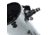 Celestron StarSense Explorer 12 Dobsonian, Silver/Black, 22472