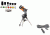 Celestron NexStar 11036 Kit