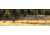 Cerus Gear 3mm Promats 12''x36'' Elk Call Of The Wild Full Clr