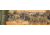 Cerus Gear 3mm Promats 14''x48'' Mule Deer Buck Full Color