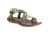 Chaco Diana Sandal - Women's, Florentine Avo, 7 US J106430-07.0