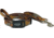 Chaco Dog Leash, Rambling Gold, Small, JC195618-S