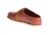Chaco Harper Slide Casual Shoe - Women's, Picante, 6.5 US J106366-06.5