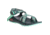 Chaco Z Cloud 2 Sandal - Women's, Jab Pine, 6 US J106622-06.0