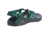 Chaco Z Cloud Sandal - Men's, Trine Pine, 11 US J106179-11.0