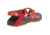 Chaco Z Cloud X Sandal - Women's, Standard Peach, 8 US J106606-08.0